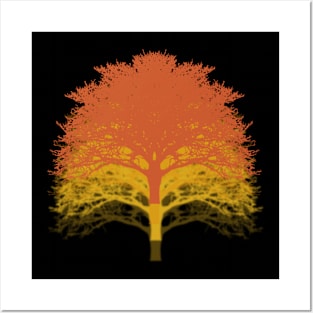 Autumnal Trees Posters and Art